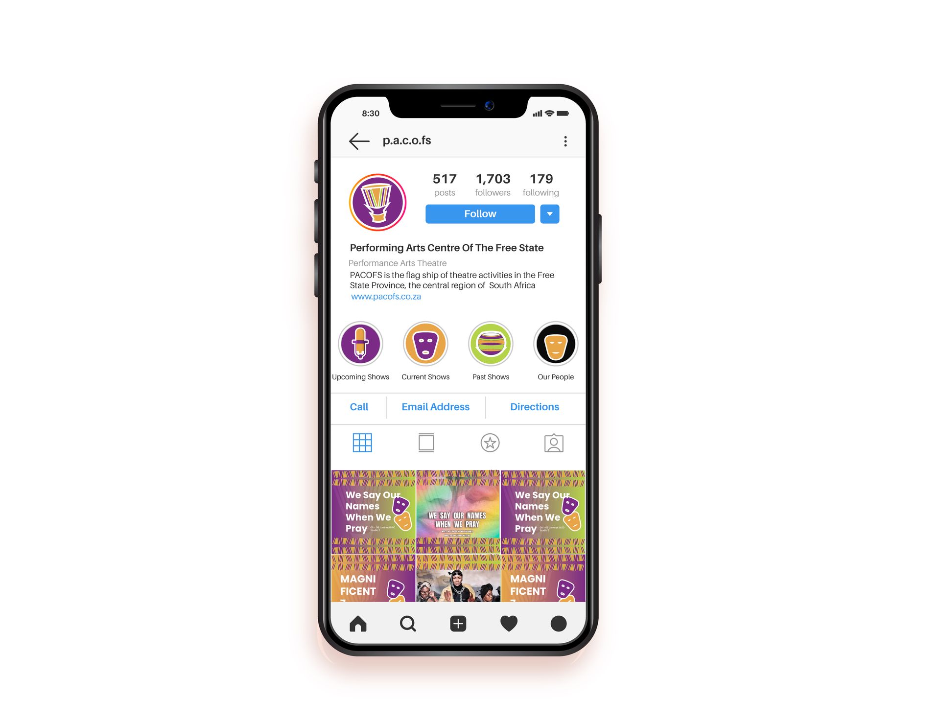 PACOFS Instagram grid layout — showing how the brand identity system looks as a cohesive feed of posts
